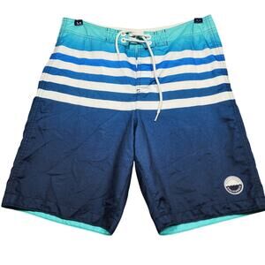 Blue Striped Hollister Board Swim Shorts Size Med